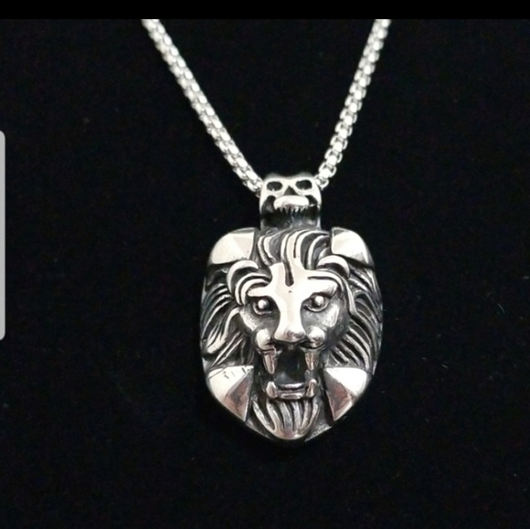 Fashion Jewelry Other - 🆕️ lion Pendant and Chain